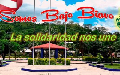 Frente a la pandemia irrumpe la Solidaridad