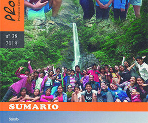 Revista 38