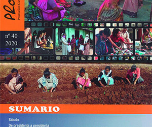 Revista 40