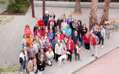 Marcha solidaria