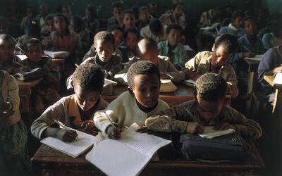 ¿Cuál es la mayor estafa del mundo? La educación